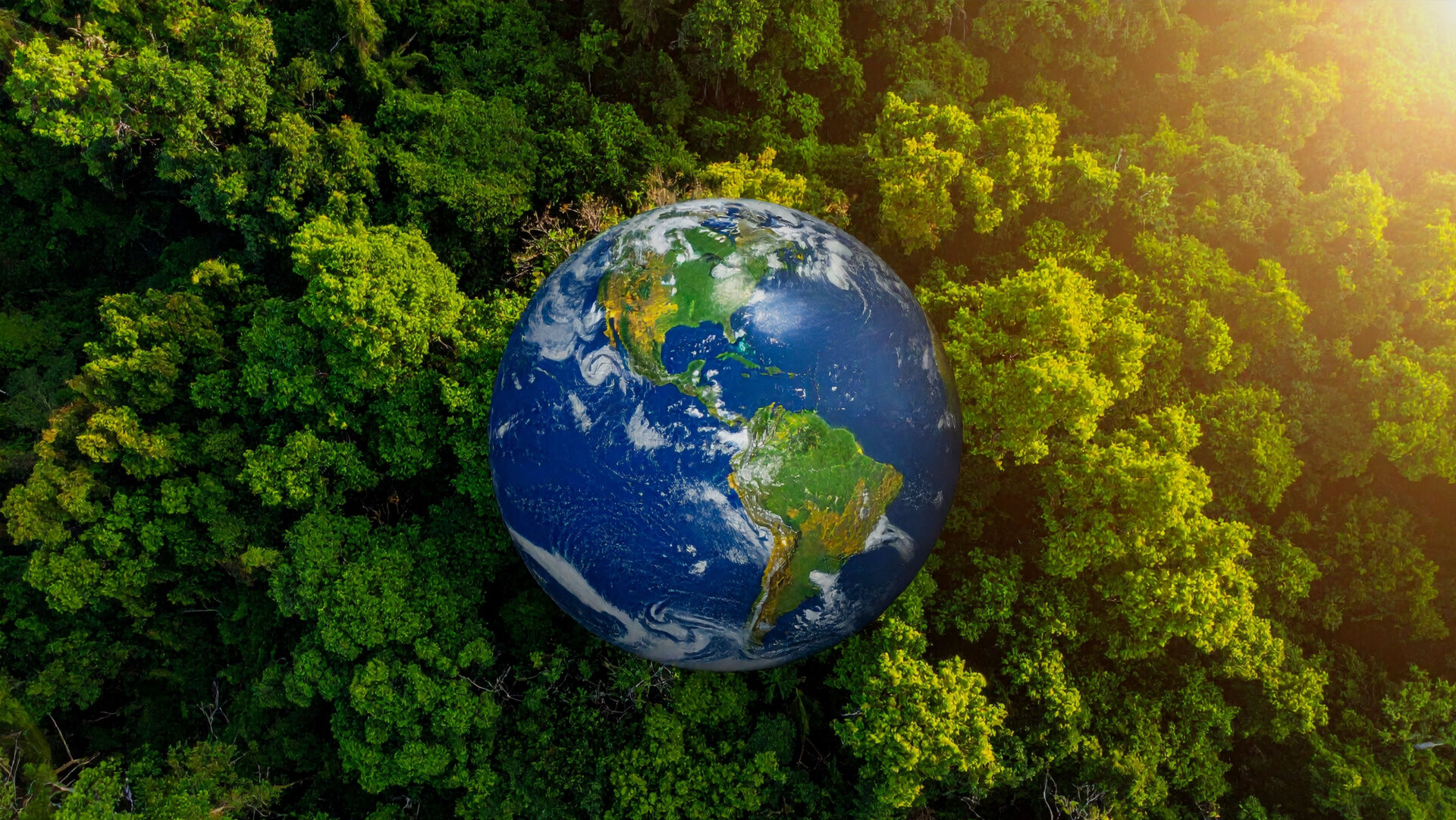 �ڶ���ʡ��̬����<br>����������������